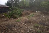 ඉඩමක් විකිනීමට – පිලියන්දල