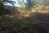 ඉඩමක් විකිනීමට – පිලියන්දල