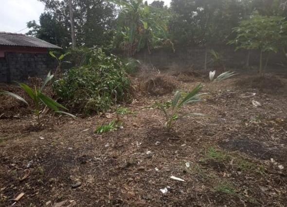 ඉඩමක් විකිනීමට – පිලියන්දල