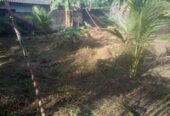 ඉඩමක් විකිනීමට – පිලියන්දල