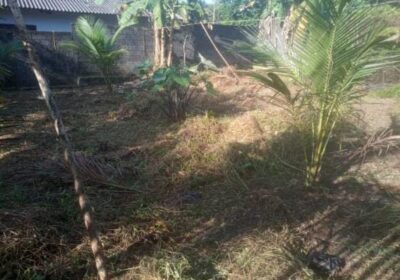 ඉඩමක් විකිනීමට – පිලියන්දල