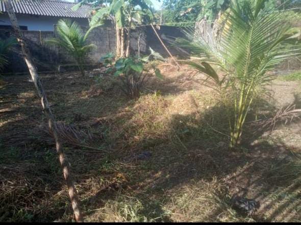 ඉඩමක් විකිනීමට – පිලියන්දල