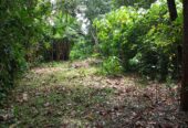 Land for Sale in Wewala Hikkaduwa