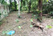Land for Sale in Wewala Hikkaduwa