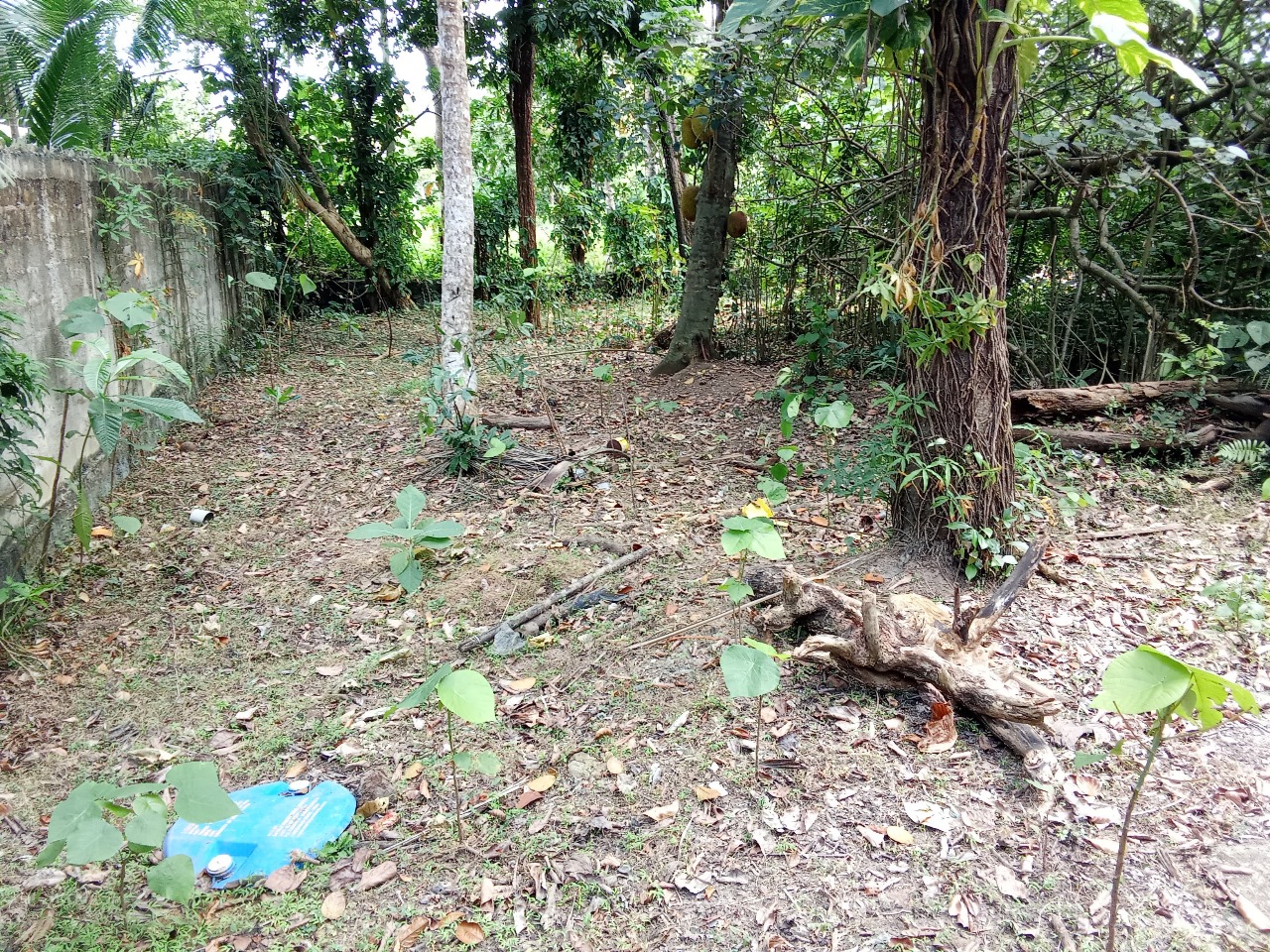 Land for Sale in Wewala Hikkaduwa