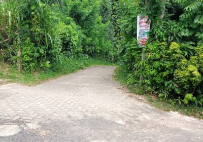 Land for Sale in Wewala Hikkaduwa