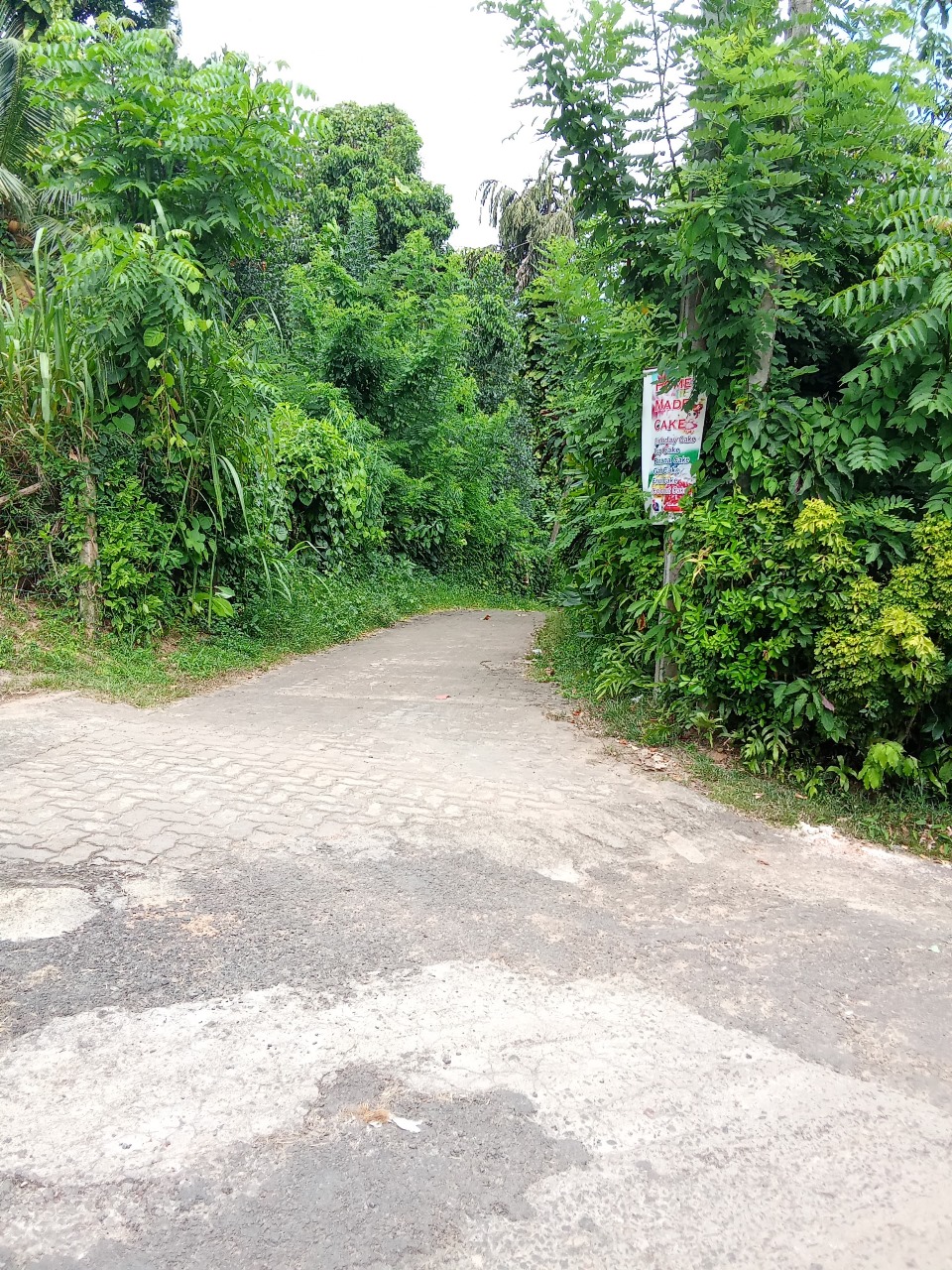 Land for Sale in Wewala Hikkaduwa