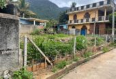 Land for Sale in Matale