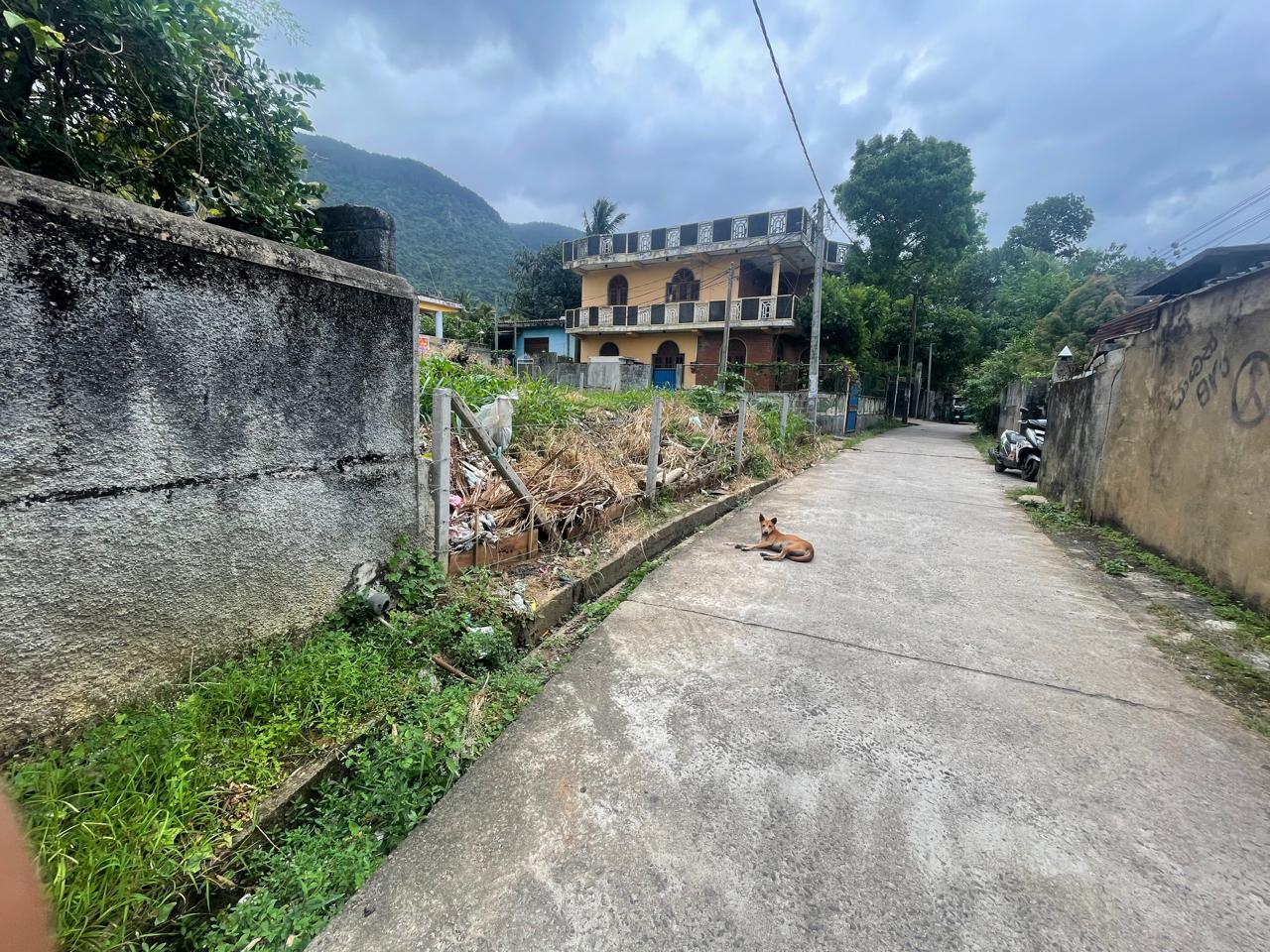 Land for Sale in Matale