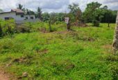 Prime Land For Sale In Meegoda
