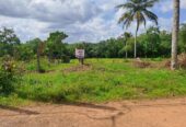 Prime Land For Sale In Meegoda