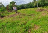 Prime Land For Sale In Meegoda