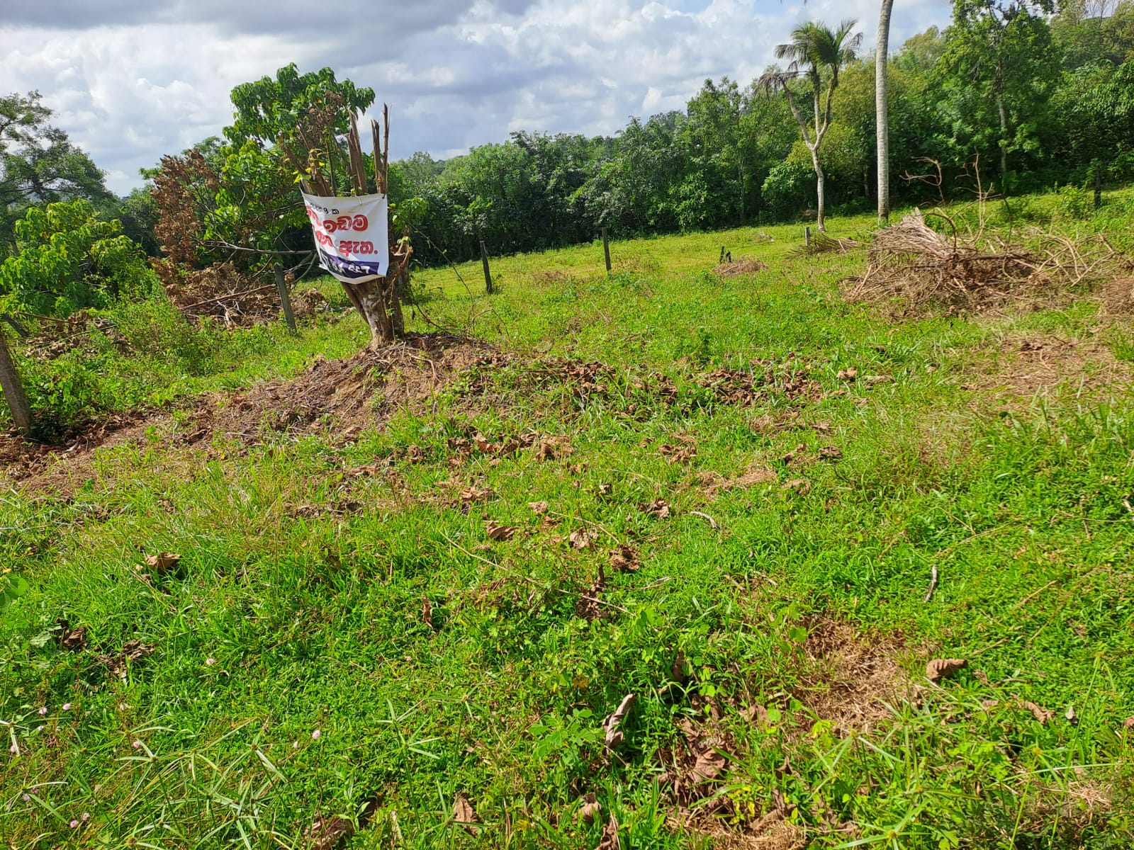 Prime Land For Sale In Meegoda