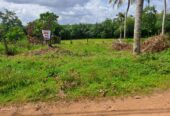Prime Land For Sale In Meegoda