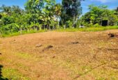 Land for Sale in Kalutara