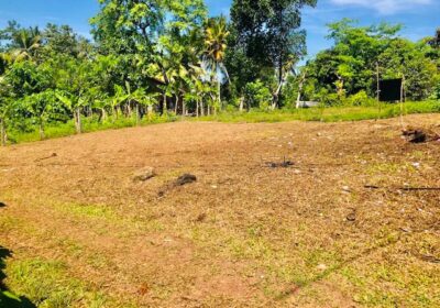 Land for Sale in Kalutara