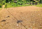 Land for Sale in Kalutara