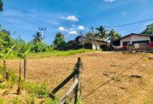 Land for Sale in Kalutara