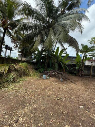 Land for Sale Godagama