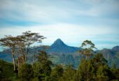 Land Plots For Sale In Hatton
