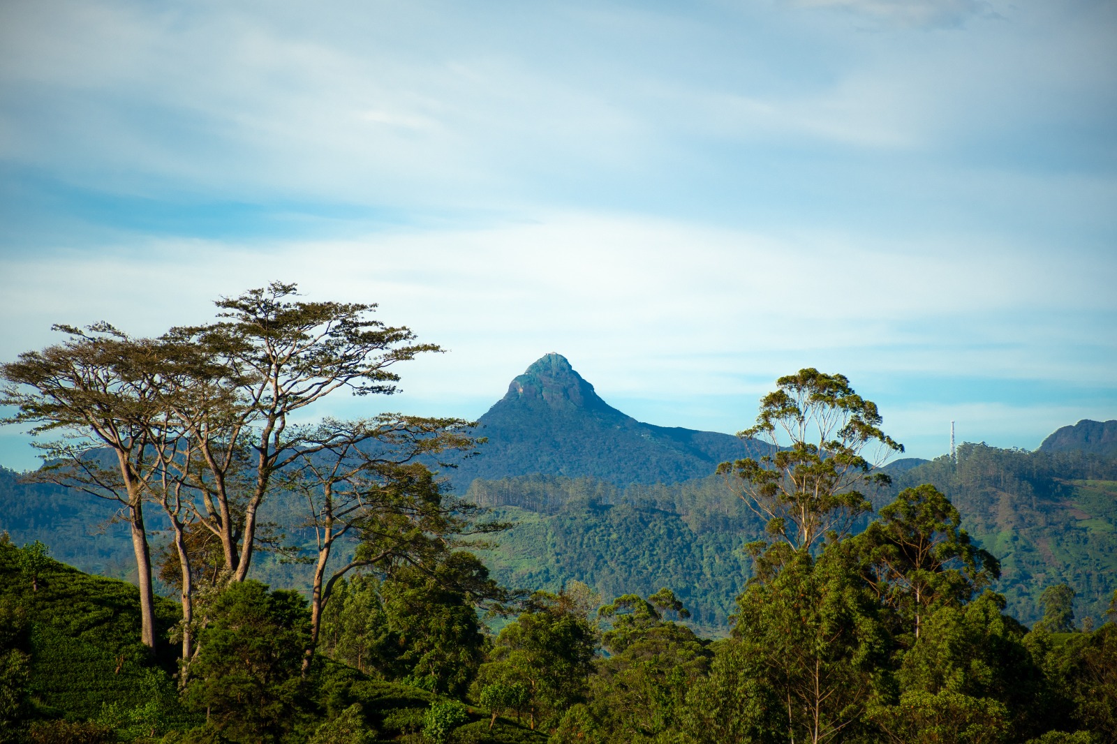 Land Plots For Sale In Hatton