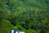 Land Plots For Sale In Hatton