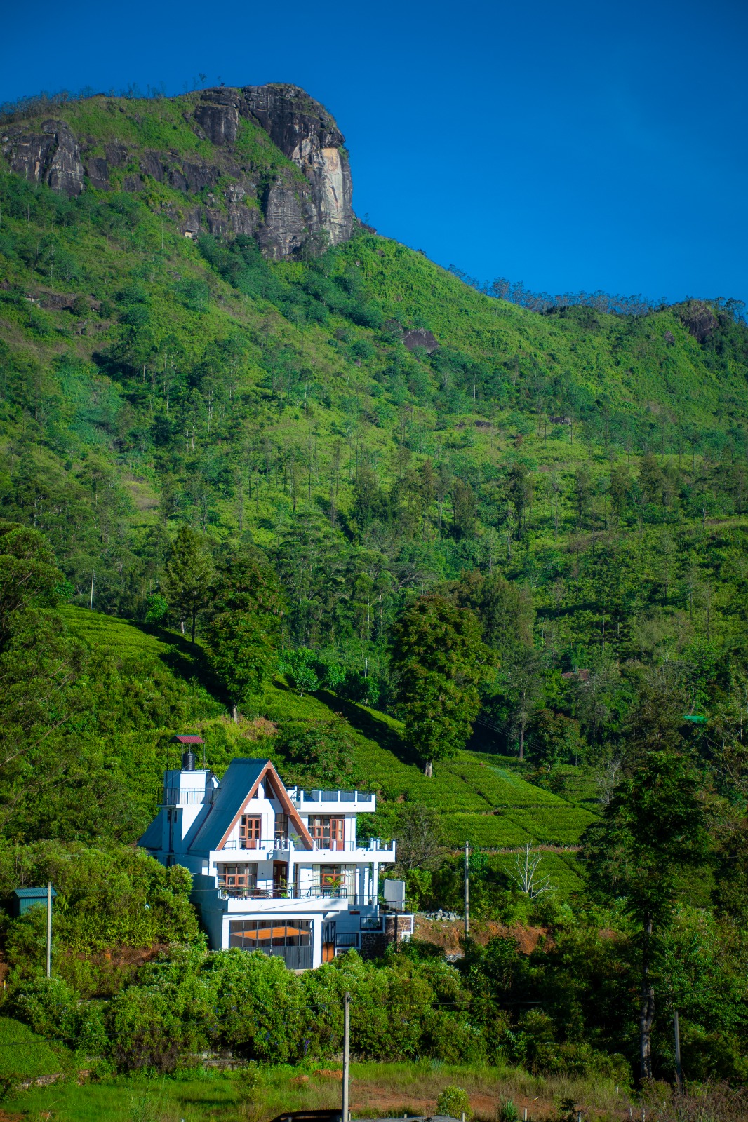 Land Plots For Sale In Hatton