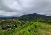 Land Plots For Sale In Hatton