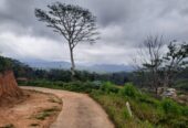 Land Plots For Sale In Hatton