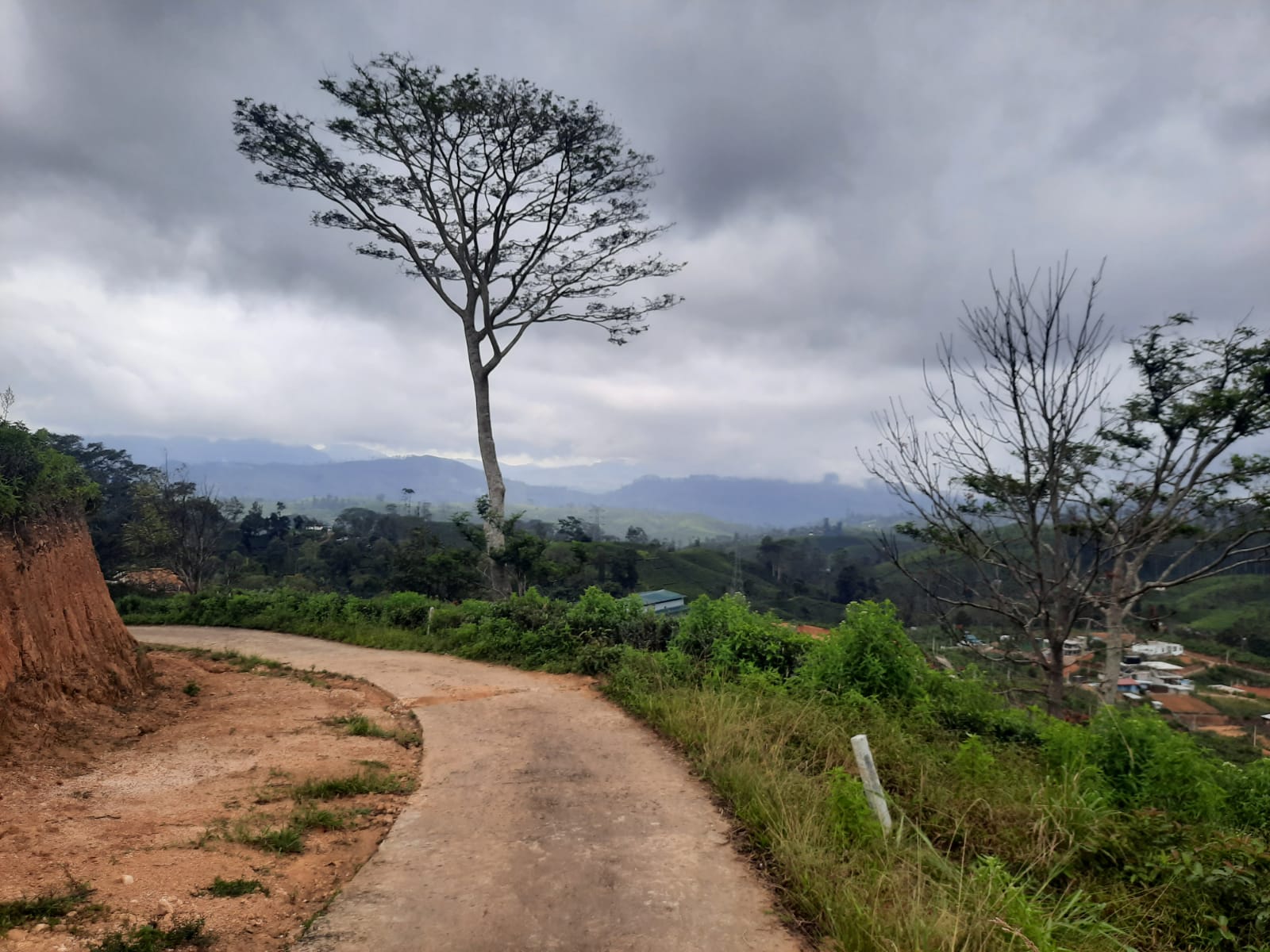 Land Plots For Sale In Hatton