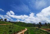 Land Plots For Sale In Hatton