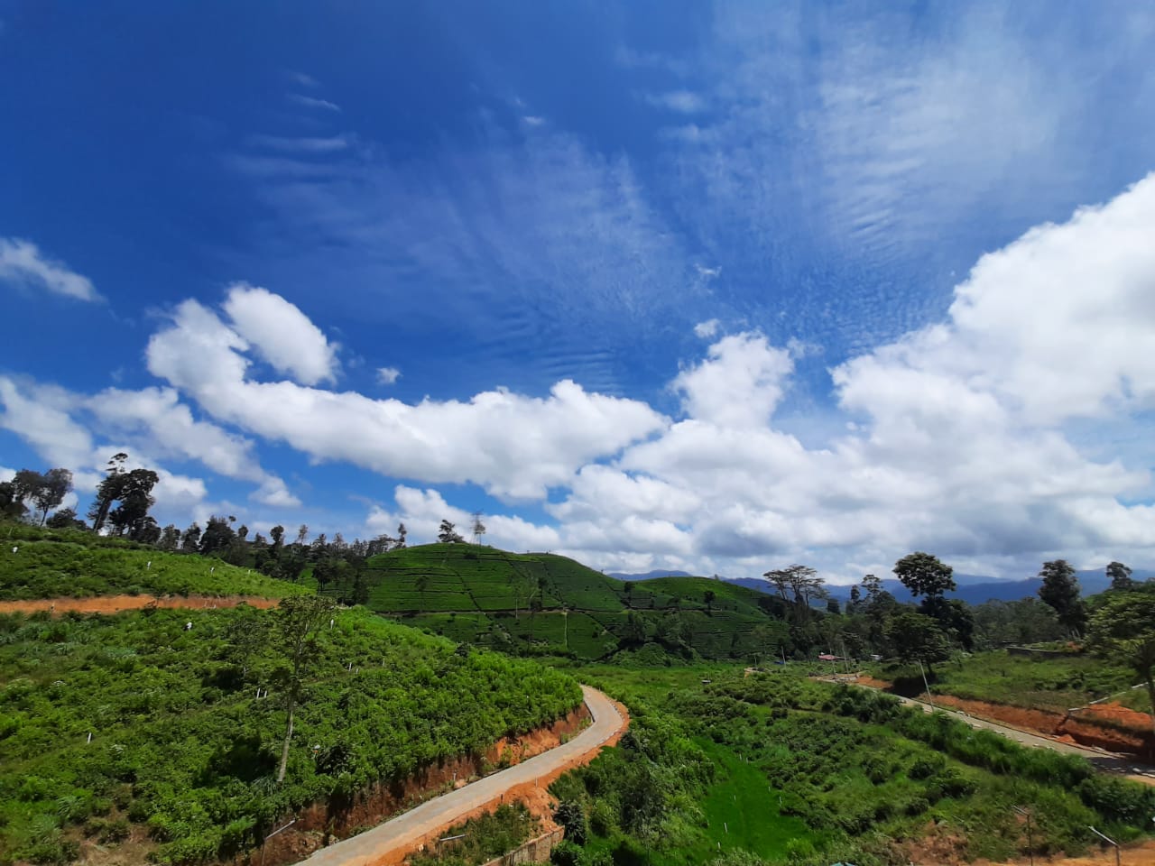 Land Plots For Sale In Hatton