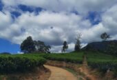 Land Plots For Sale In Hatton