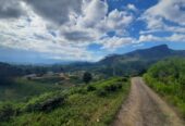Land Plots For Sale In Hatton