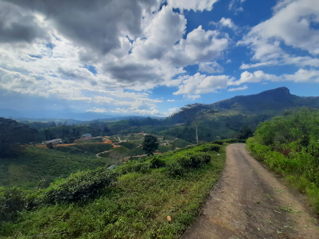 Land Plots For Sale In Hatton