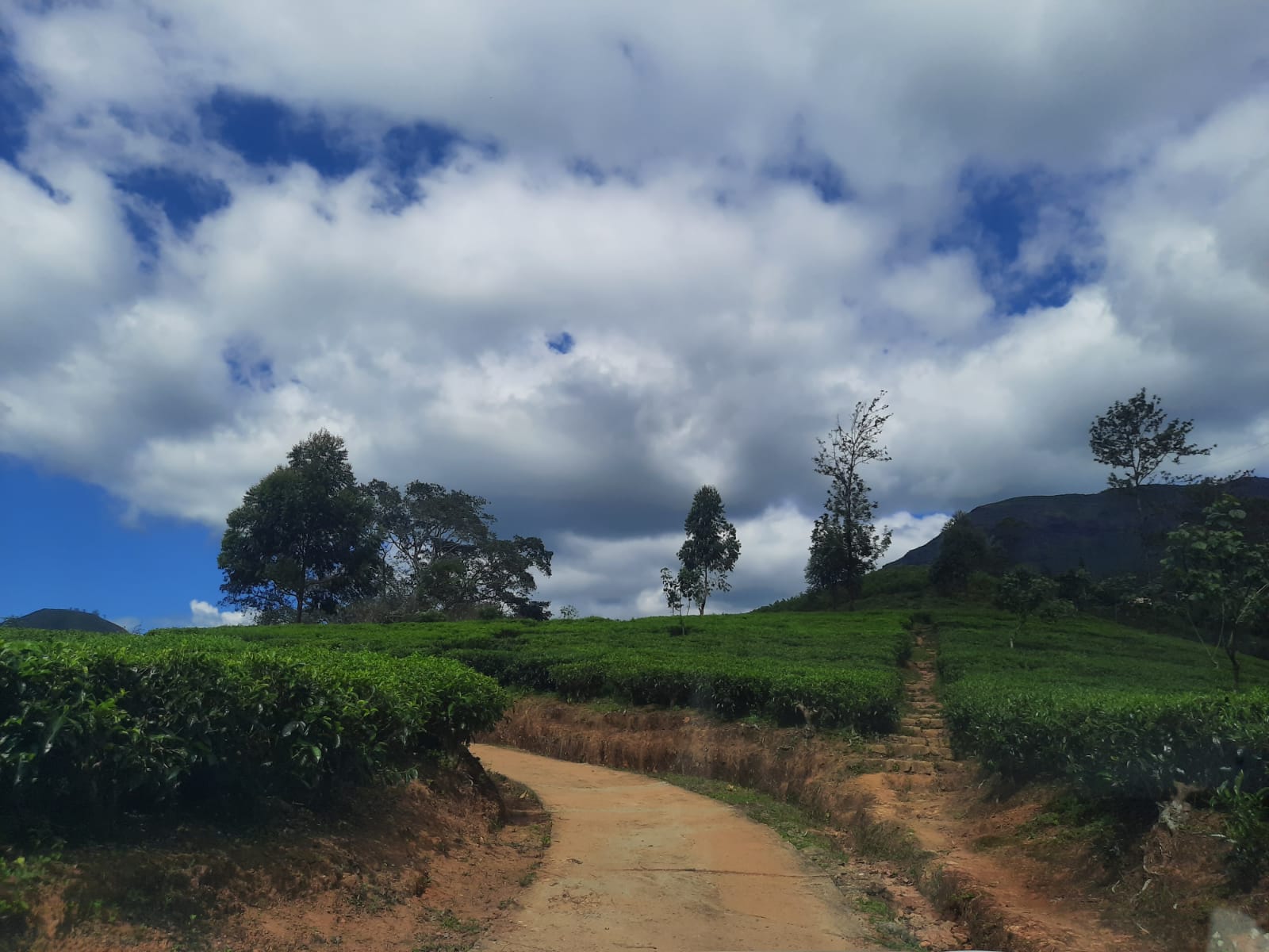 Land Plots For Sale In Hatton