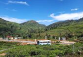 Land Plots For Sale In Hatton