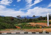 Land Plots For Sale In Hatton