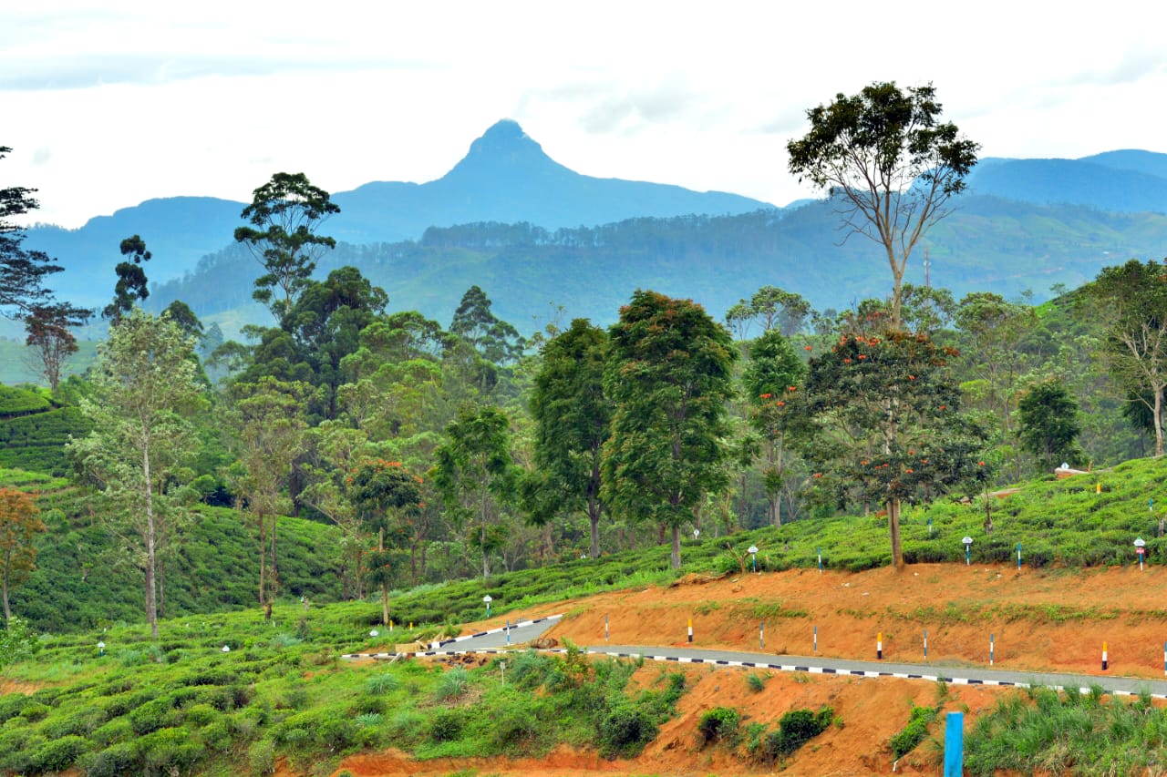 Land Plots For Sale In Hatton