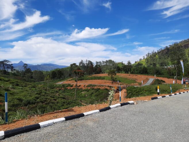 Land Plots For Sale In Hatton