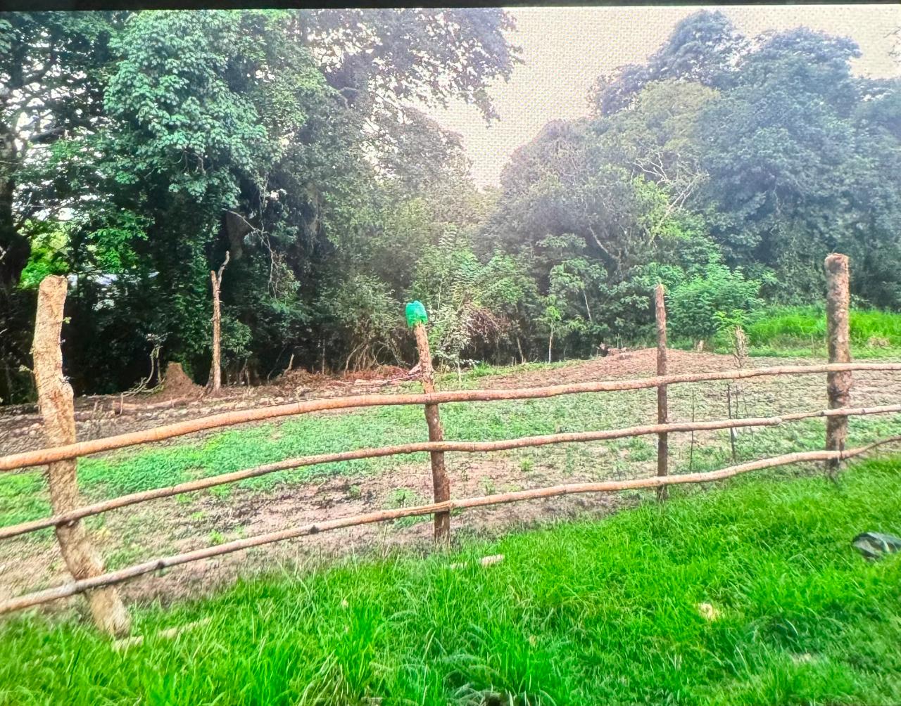 පල්ලෙබැද්ද වලව් වත්ත ඉඩම්