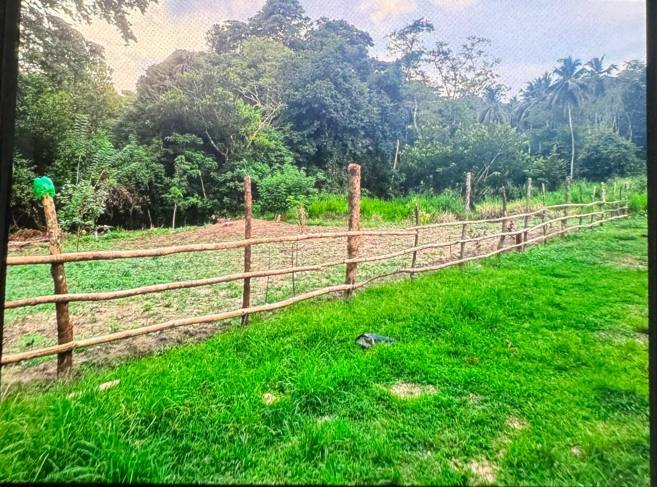 පල්ලෙබැද්ද වලව් වත්ත ඉඩම්