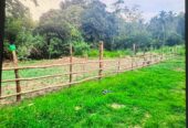 පල්ලෙබැද්ද වලව් වත්ත ඉඩම්