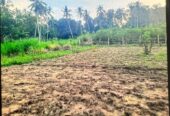 පල්ලෙබැද්ද වලව් වත්ත ඉඩම්