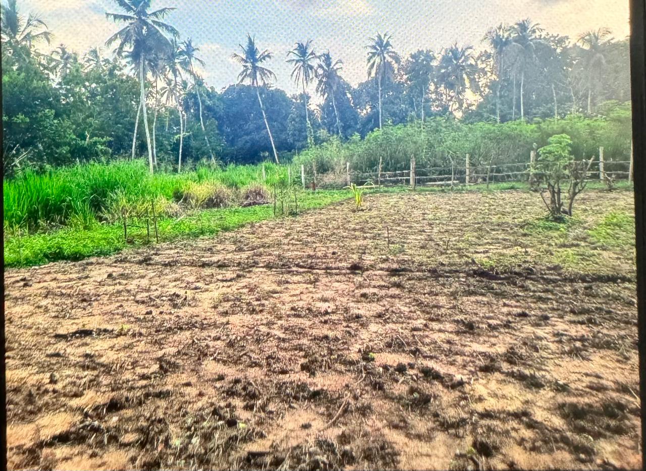 පල්ලෙබැද්ද වලව් වත්ත ඉඩම්