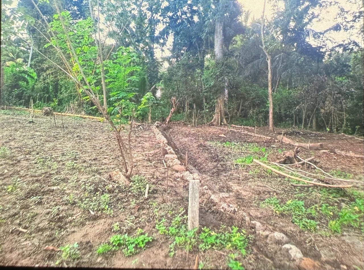 පල්ලෙබැද්ද වලව් වත්ත ඉඩම්