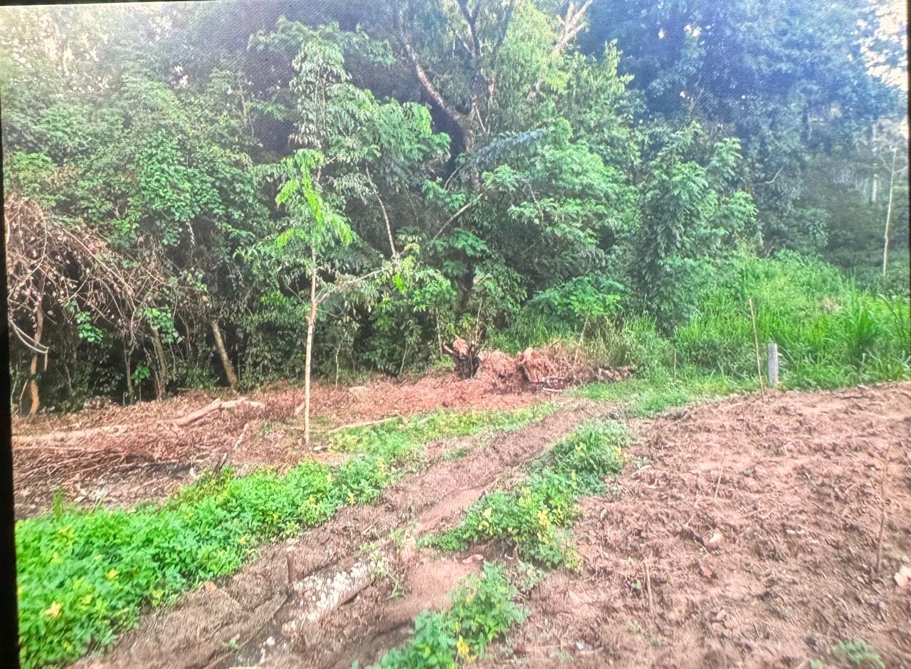 පල්ලෙබැද්ද වලව් වත්ත ඉඩම්