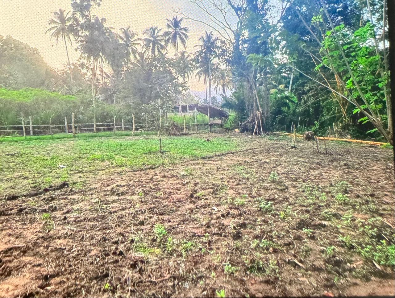 පල්ලෙබැද්ද වලව් වත්ත ඉඩම්