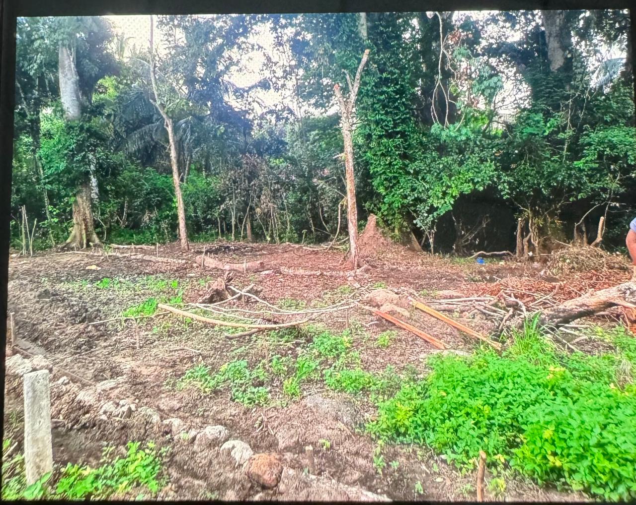 පල්ලෙබැද්ද වලව් වත්ත ඉඩම්