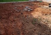 Land for Sale in Colombo 10